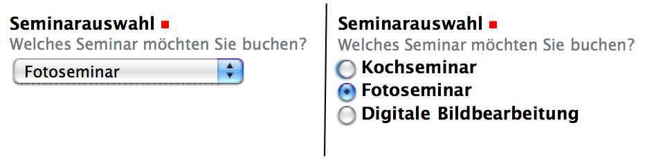 Auswahlfeld mit Auswahlmenü oder mit Radiobuttons