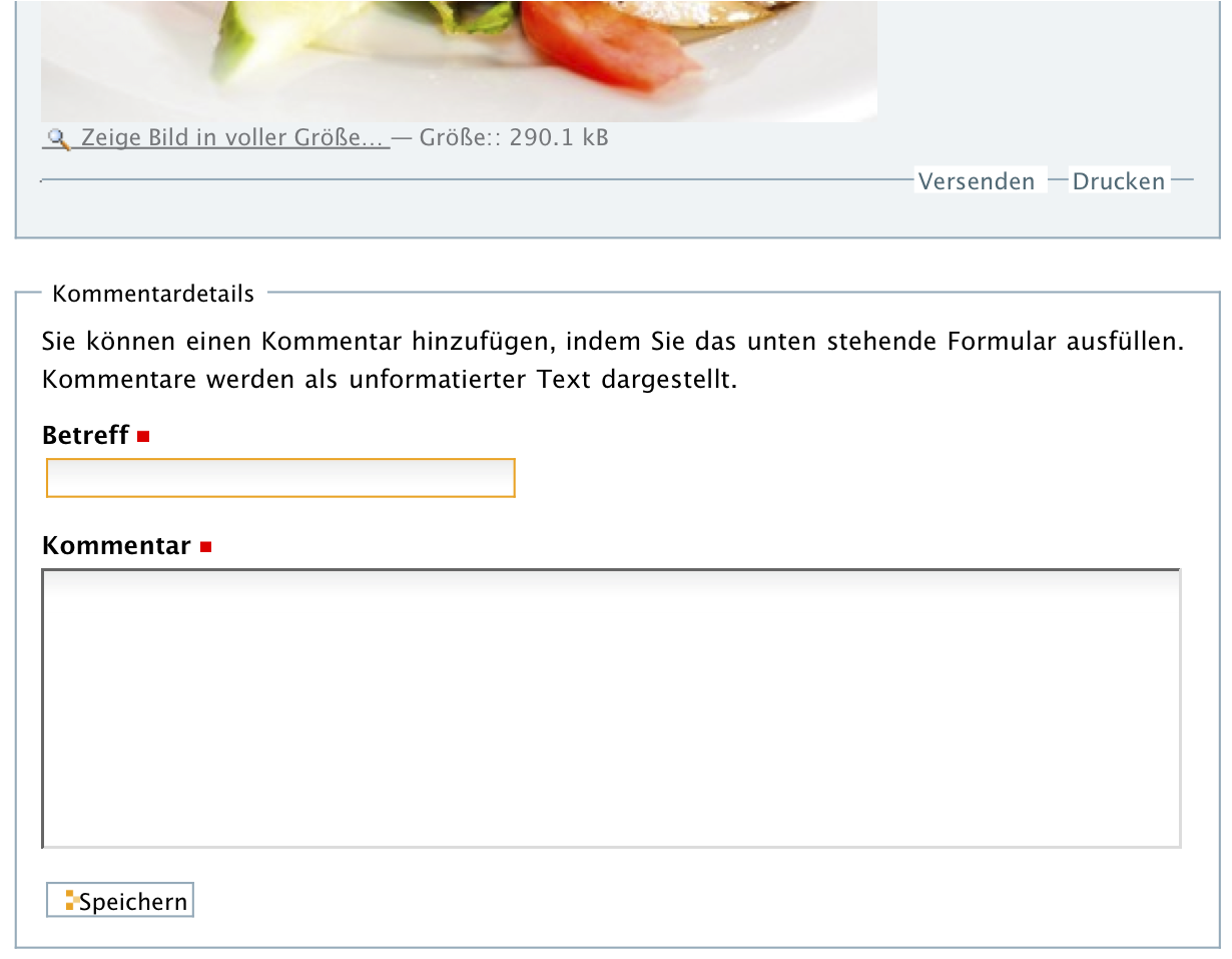 Eingabeformular für einen Kommentar