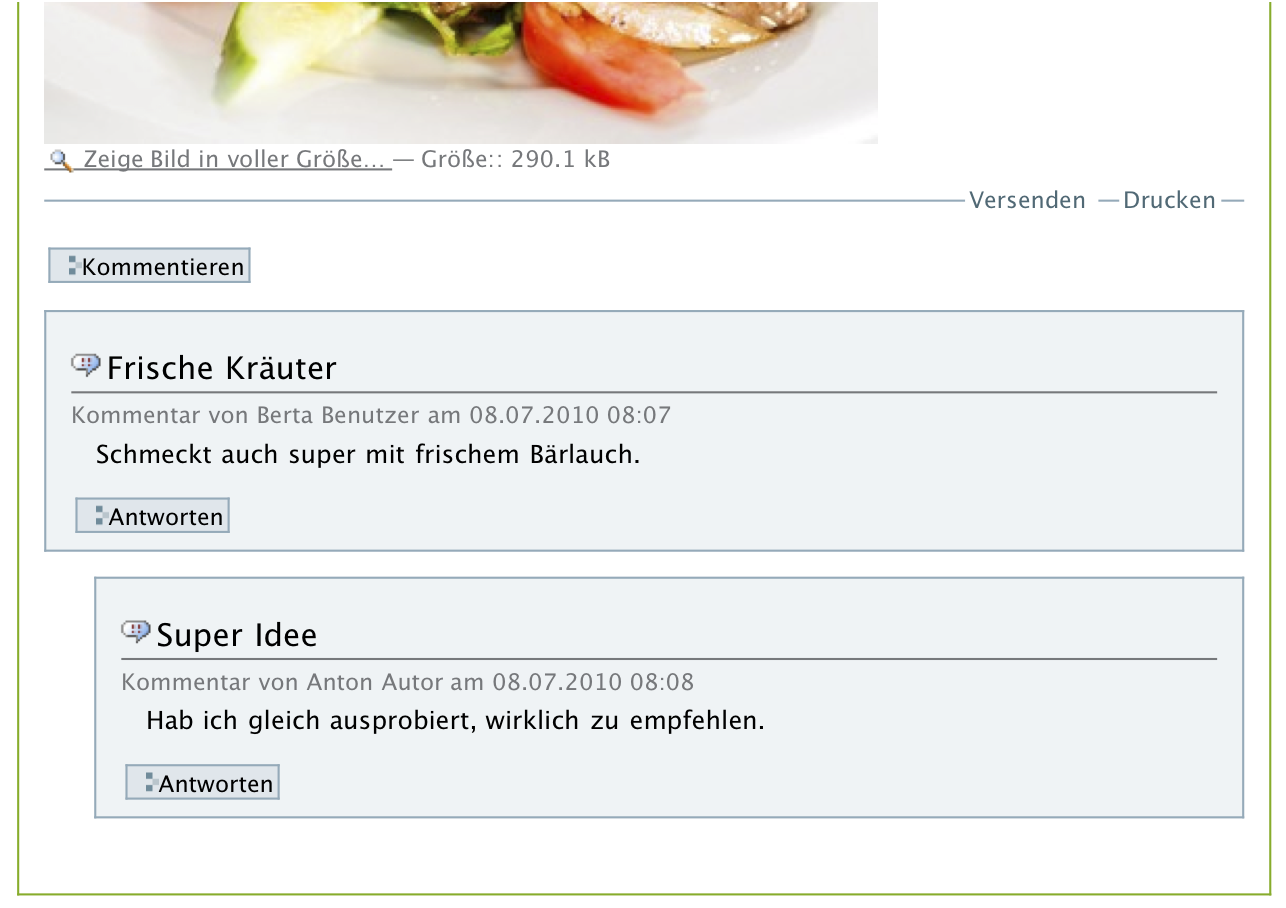 Kommentare unterhalb eines Artikels