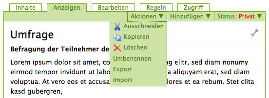 Aktionsmenü eines Formular-Ordners