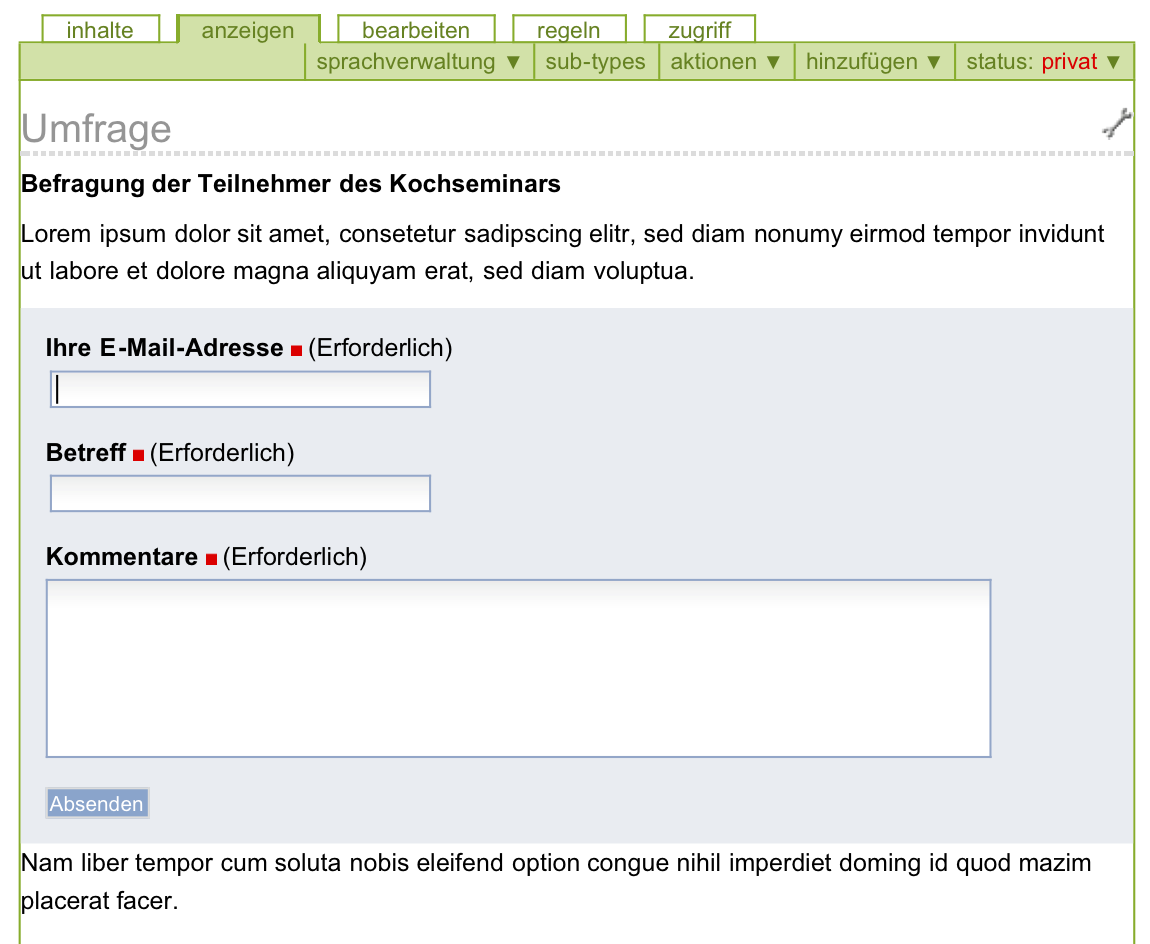 Ansicht des Formulars