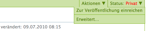 Das Statusmenü